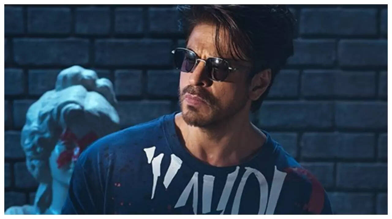 'King': Shah Rukh Khan to play character named Vijay?