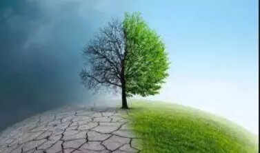 T vigilance commissioner calls for energy efficiency to fight climate change