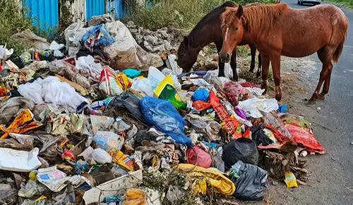 Rs1.46L penalty imposed for single-use plastic in Faridabad crackdown