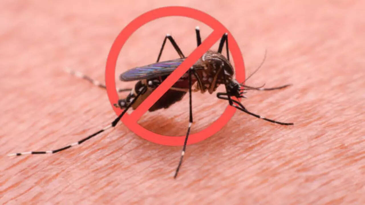 fight against dengue and malaria outbreaks;