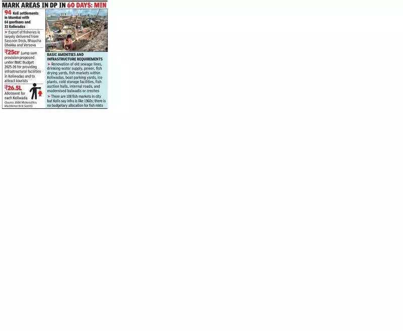 Demarcation of koliwadas in DP a pre-election outreach to fishing community, say experts