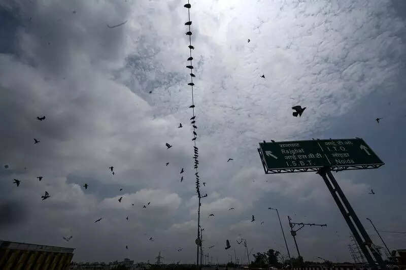 Delhi faces hot and humid weather with light rain possible on Sunday