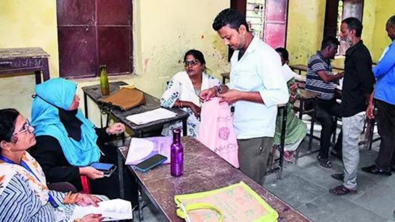 We alone have discretion to hold rolls revision: EC