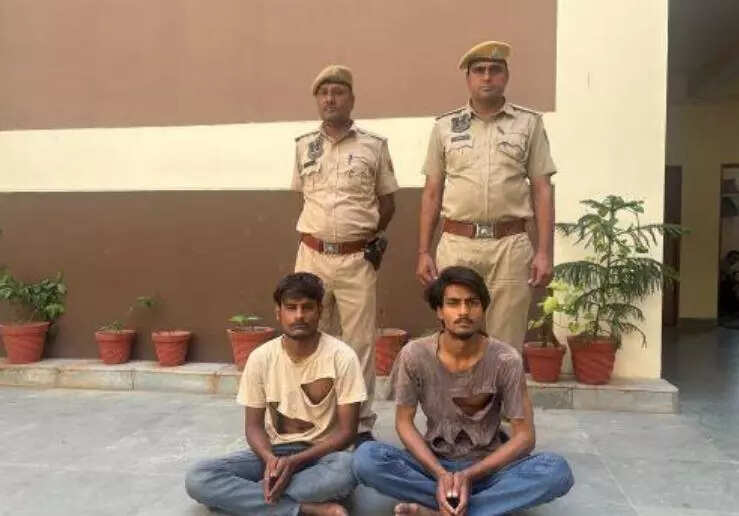 msid 123887165,imgsize 25426 https://jaipur.visitinrajasthan.com/wp-content/uploads/2023/10/cropped-cropped-R-2.png