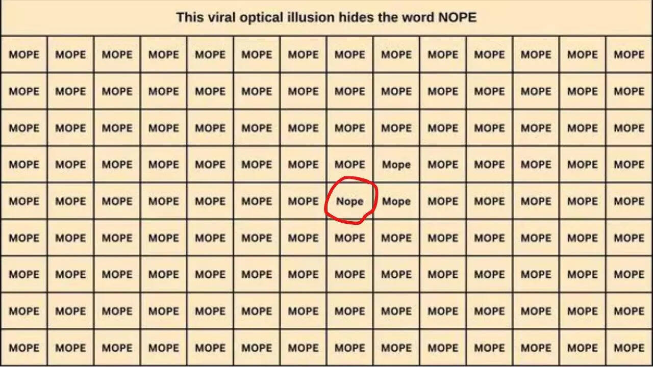 Optical Illusion Answer
