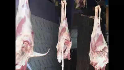 GCC to modernize 75-yr-old Saidapet slaughterhouse amid hygiene concerns