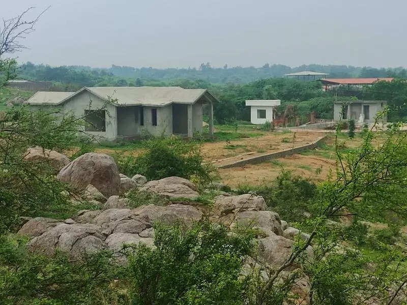 NGT seeks Hry’s stand on construction, tree felling in Raisina Hills in Gurgaon