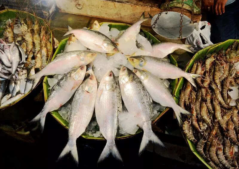 Bangla half-nod sets many hurdles for Padma-r ilish