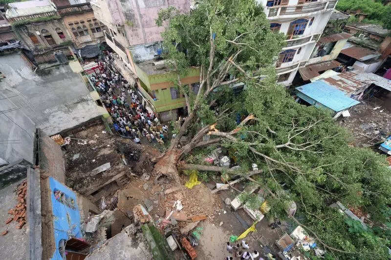 Century-old tree collapsesin Kaiserbagh, 1 dead, 4 hurt