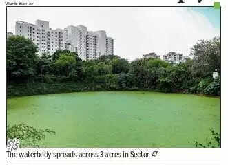 Gurgaon waterbody turns a dumpsite, says plea; NGT asks admin & HSVP to file reply in 4 weeks