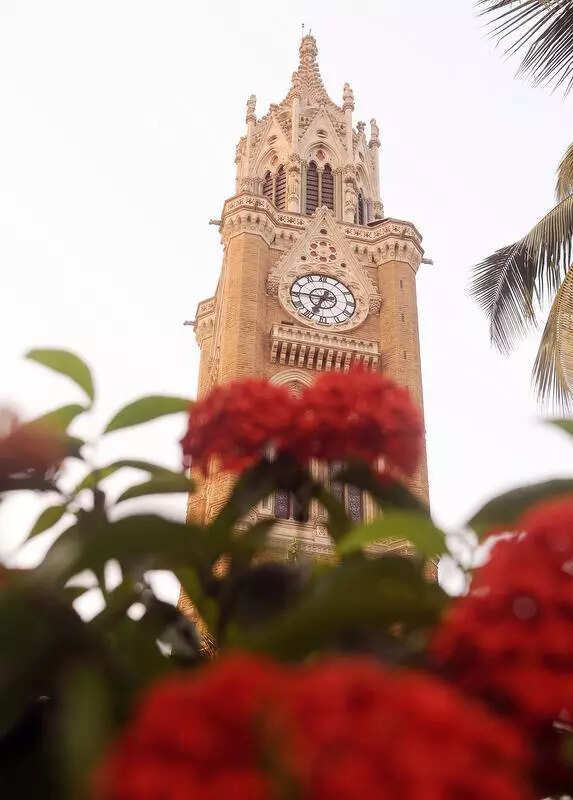 PhD student booked for obstructing minister Rijiju’s convoy at Mumbai University