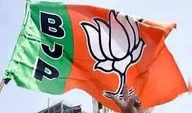 BJP leaders urge party to bring back OPS and TTV into NDA