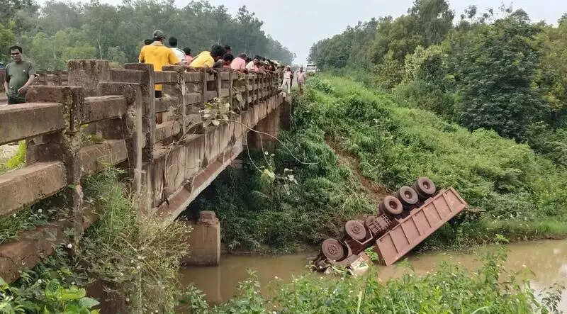 Driver dies as truck meets with accident