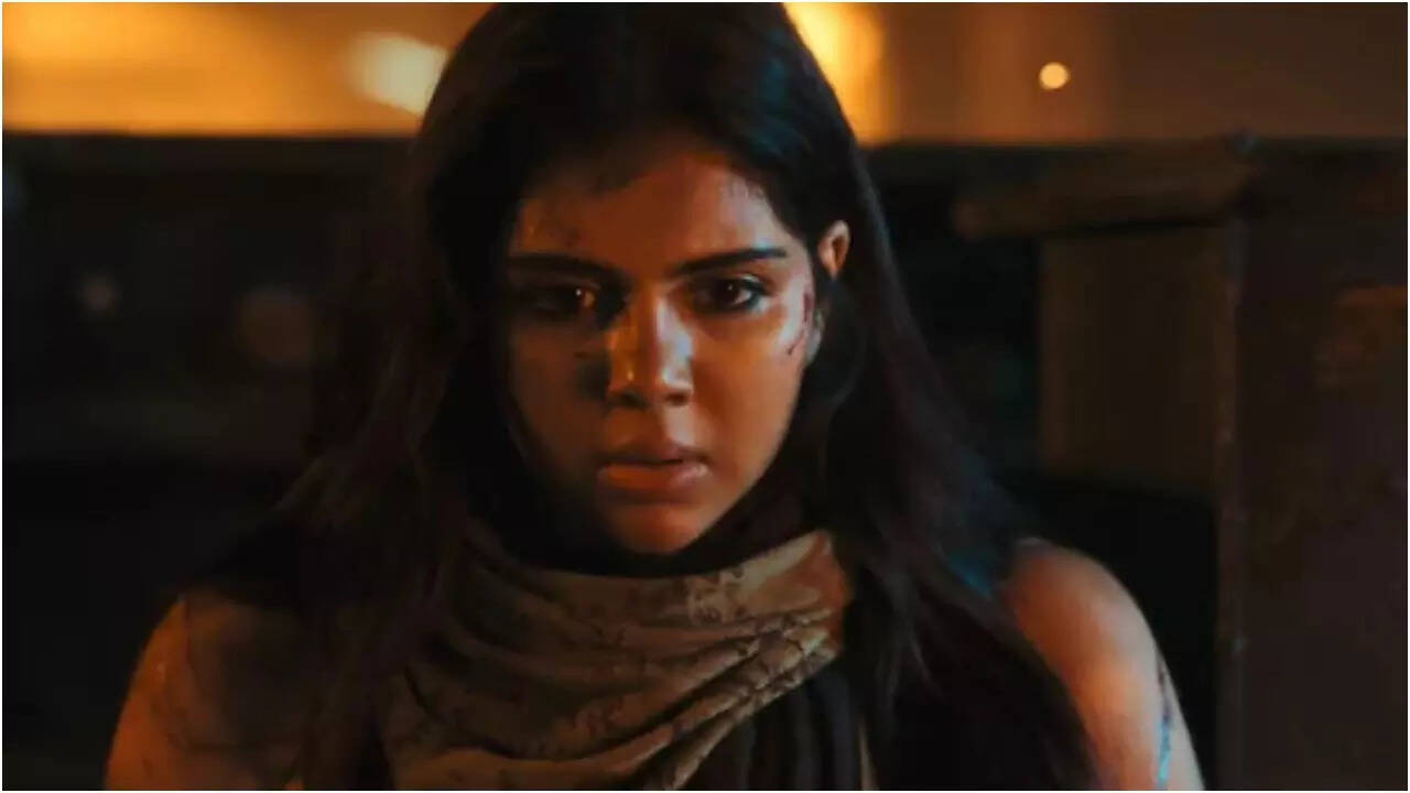 'Lokah': Film crosses Rs 124 crores