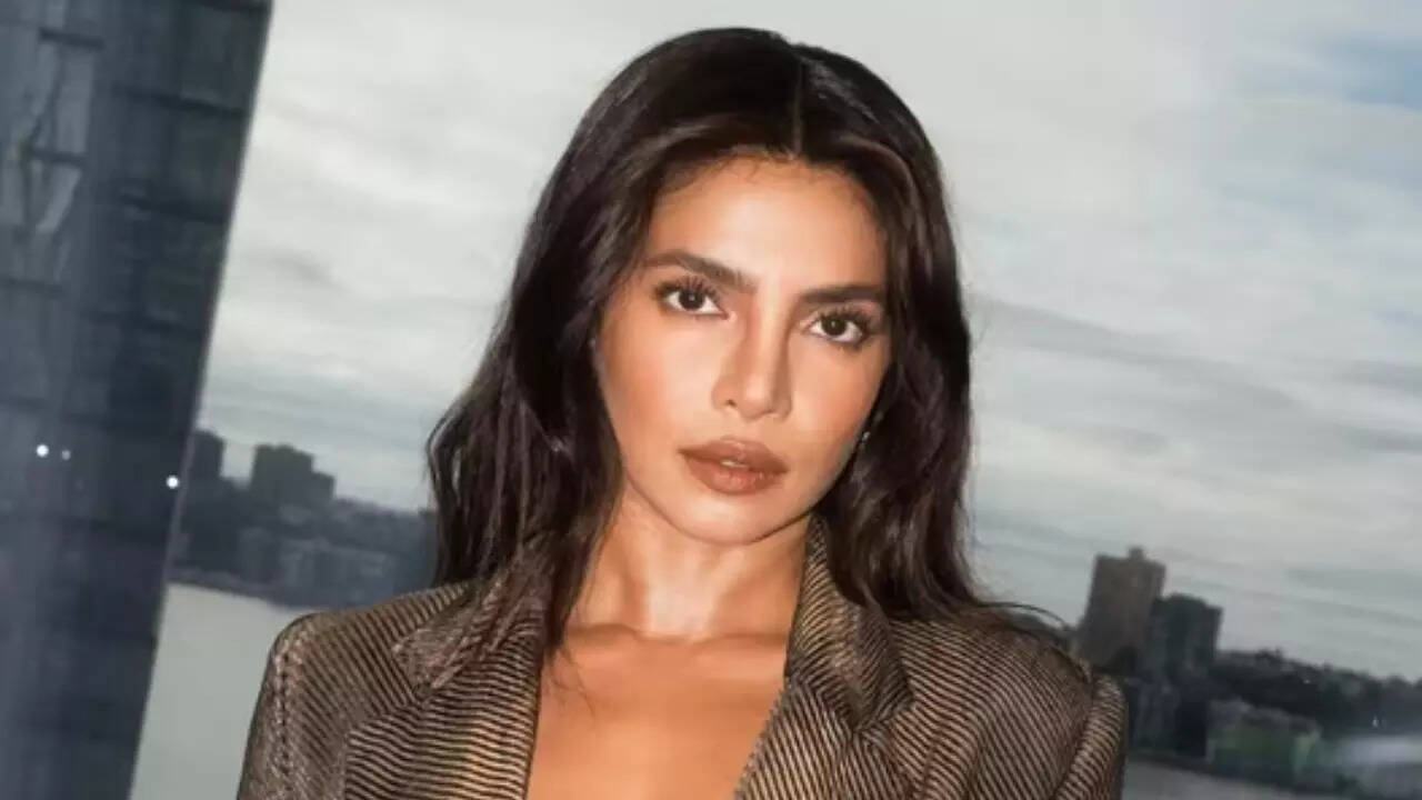 'Priyanka Chopra had bad skin, she is big-boned'