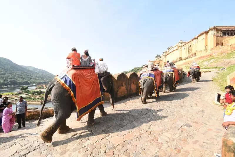 msid 123954179,imgsize 48976 https://jaipur.visitinrajasthan.com/wp-content/uploads/2023/10/cropped-cropped-R-2.png