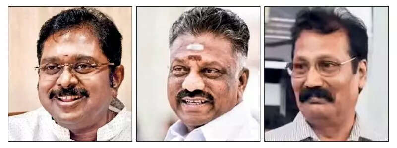 Small parties warm up to Vijay