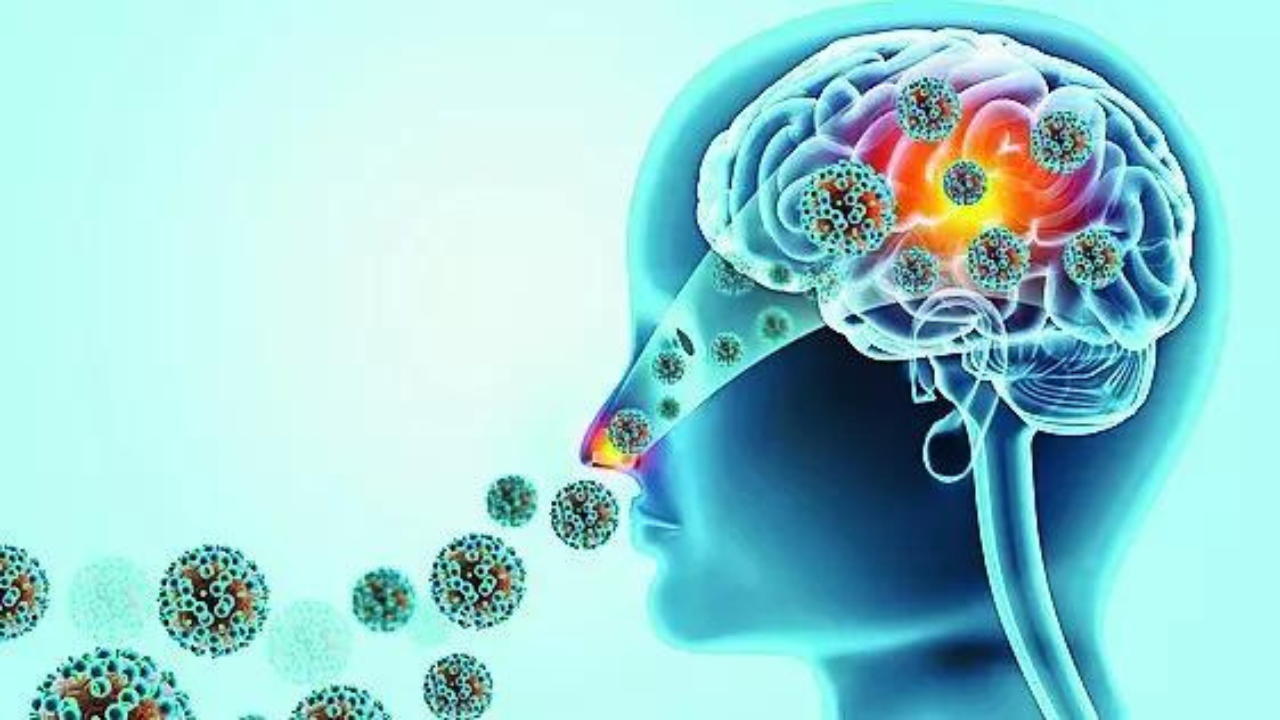 19 dead this year: 'Brain-eating' amoeba sparks political slugfest in Kerala House