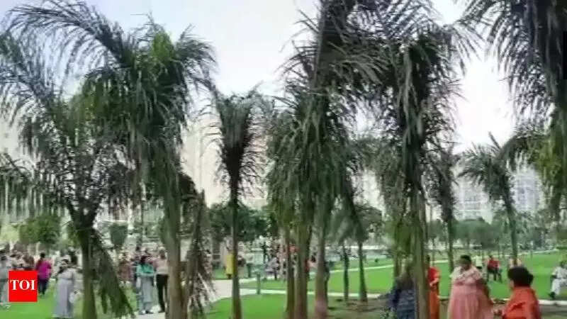 Govt issues order on felling palm trees