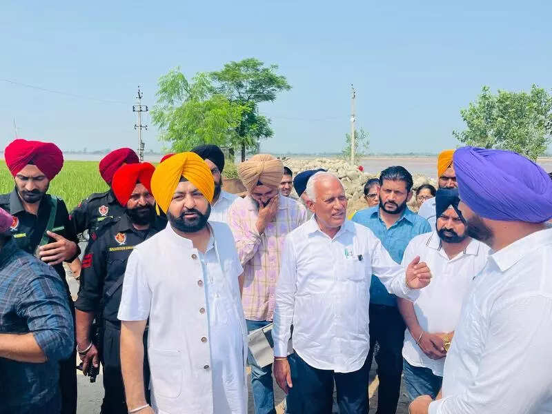 Silt clearing operations on Satluj river inspected