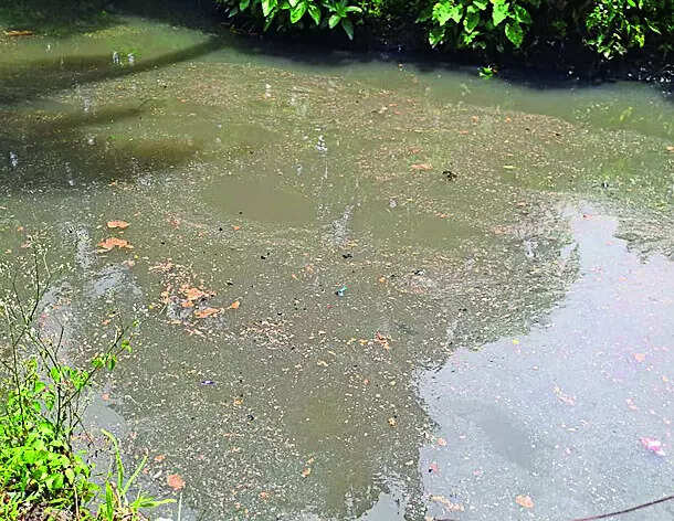 Govt issues SOP for right of way permissions near water bodies for pipeline corridors