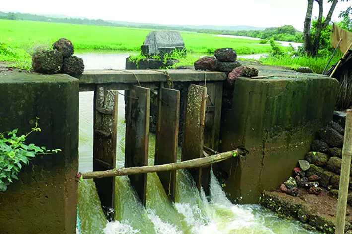 Expect govt to ensure timely approval of tenant association’s bills, says Bombay HC