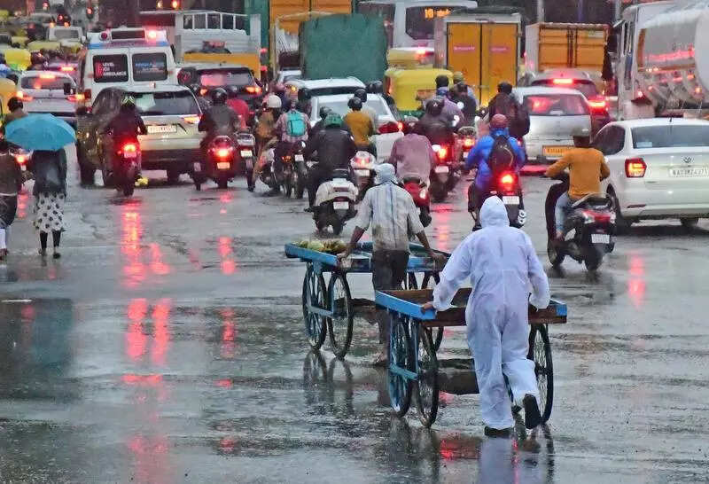 Bengaluru gets 7cm rain in 12 hours, 45 trees uprooted