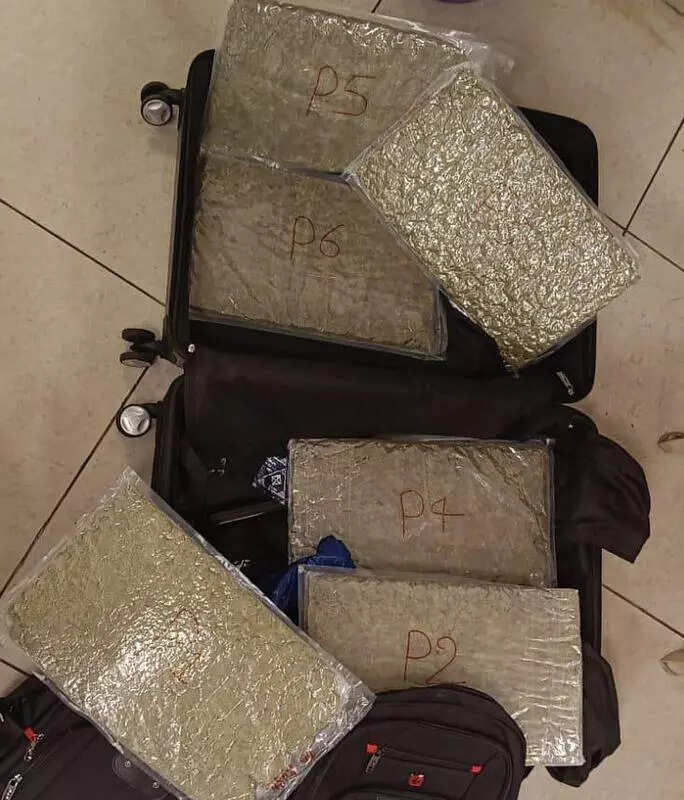 12kg hydroponic weed seized from two flyers tricked into smuggling
