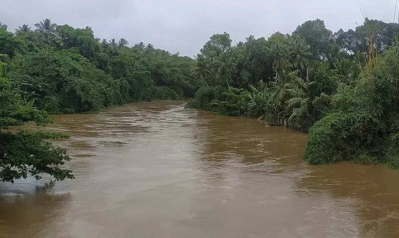 Irrigation department to clean polluted stretch of Karamana River