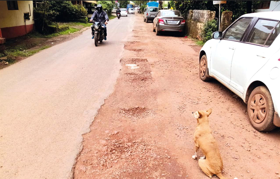 Bicholim town plagued with potholed roads, littered rivulet