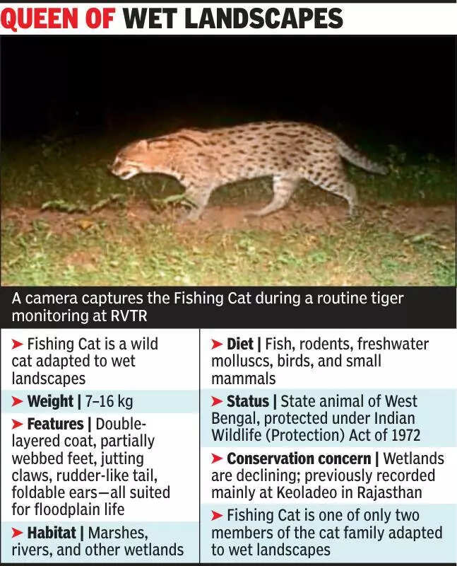 msid 124056078,imgsize 71052 https://jaipur.visitinrajasthan.com/wp-content/uploads/2023/10/cropped-cropped-R-2.png