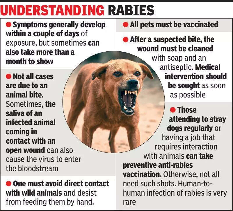 Pet lover police inspector dies of suspected rabies