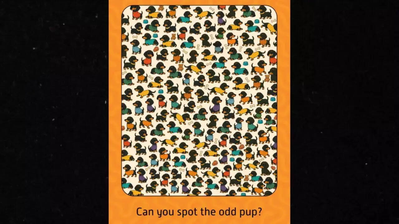 Optical Illusion