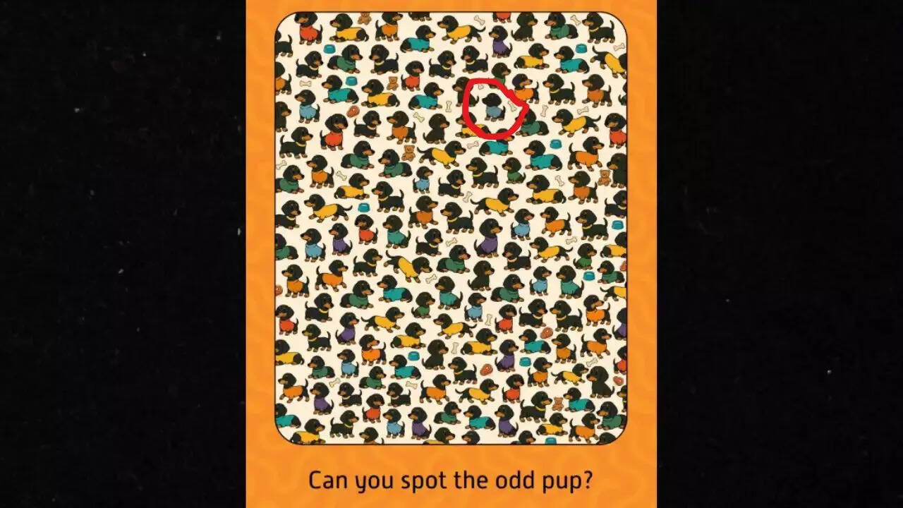 Optical Illusion Answer