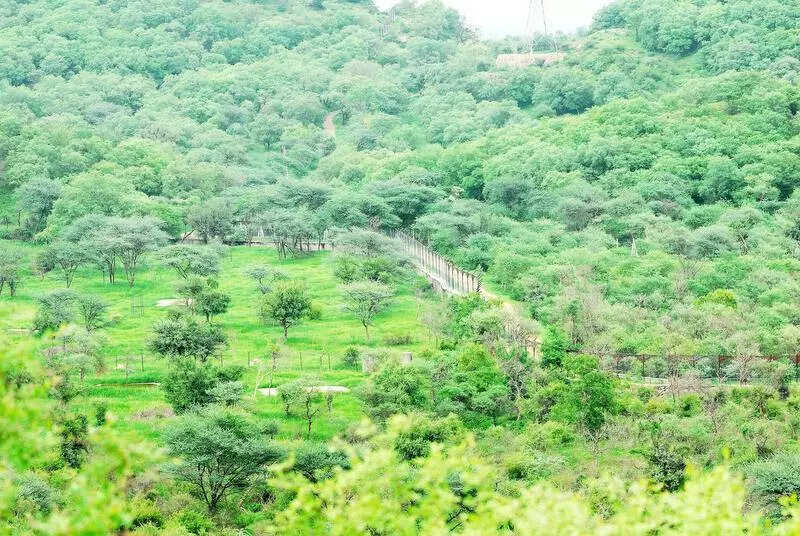 msid 124099398,imgsize 116460 https://jaipur.visitinrajasthan.com/wp-content/uploads/2023/10/cropped-cropped-R-2.png