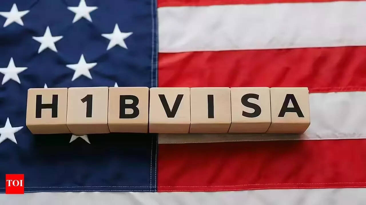 'H-1B impact on remittances to be under $5bn'