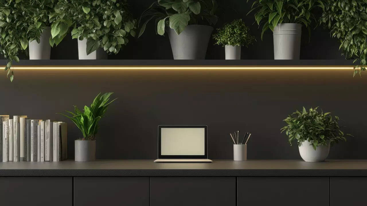 8 Office desk plants for well-being: Reduce stress and lift your mood