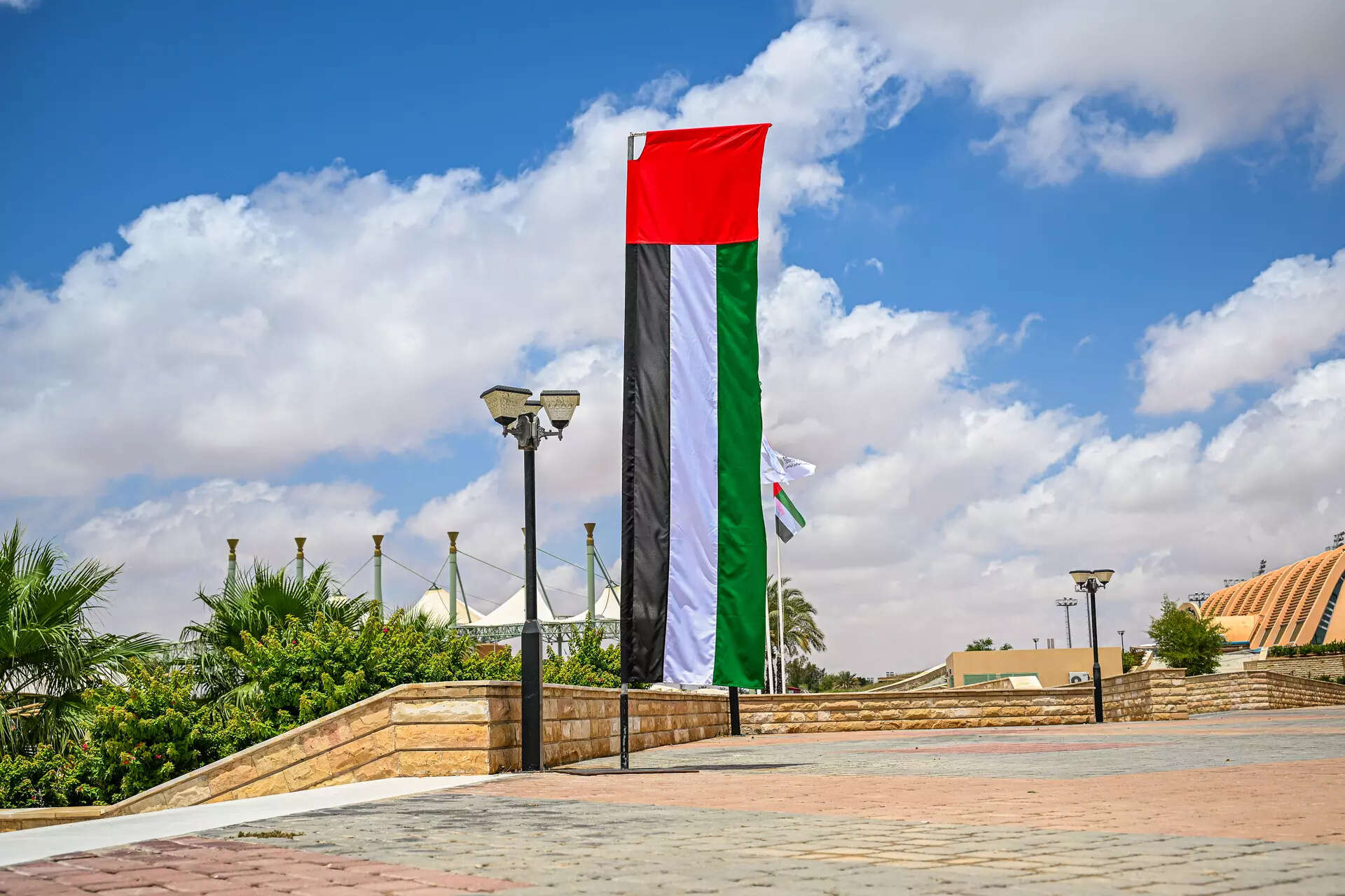 UAE just launched 4 new visit visas for AI, cruise, events, and entertainment: Find out who can apply