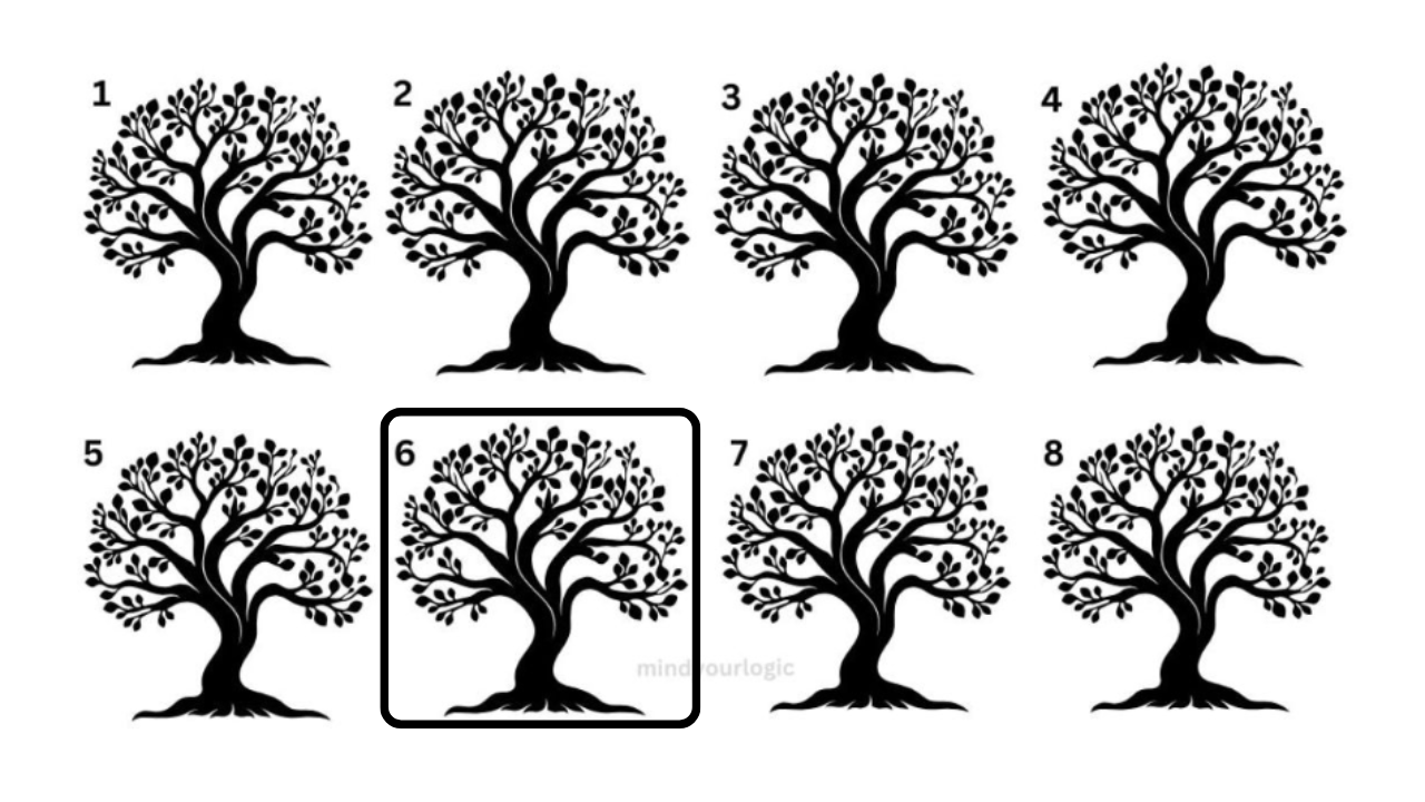 illusion (10)