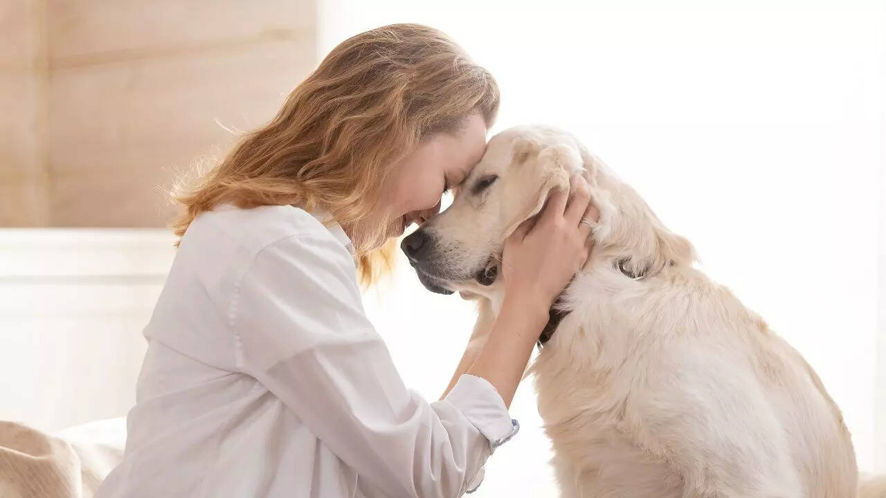 Animals and pets