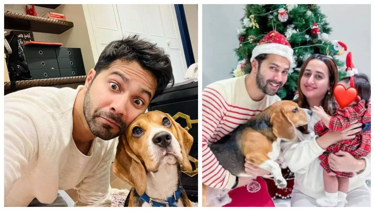 Varun on how his pet Joey prepared him to welcome daughter Lara