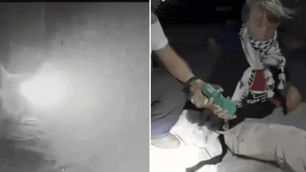 Water cannons, deportations, global backlash: Israel stops 19 Gaza aid boats &mdash; How it all unfolded