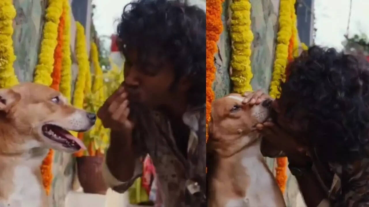 'Dude': Pradeep Ranganathan's kiss scene with dog sparks social buzz
