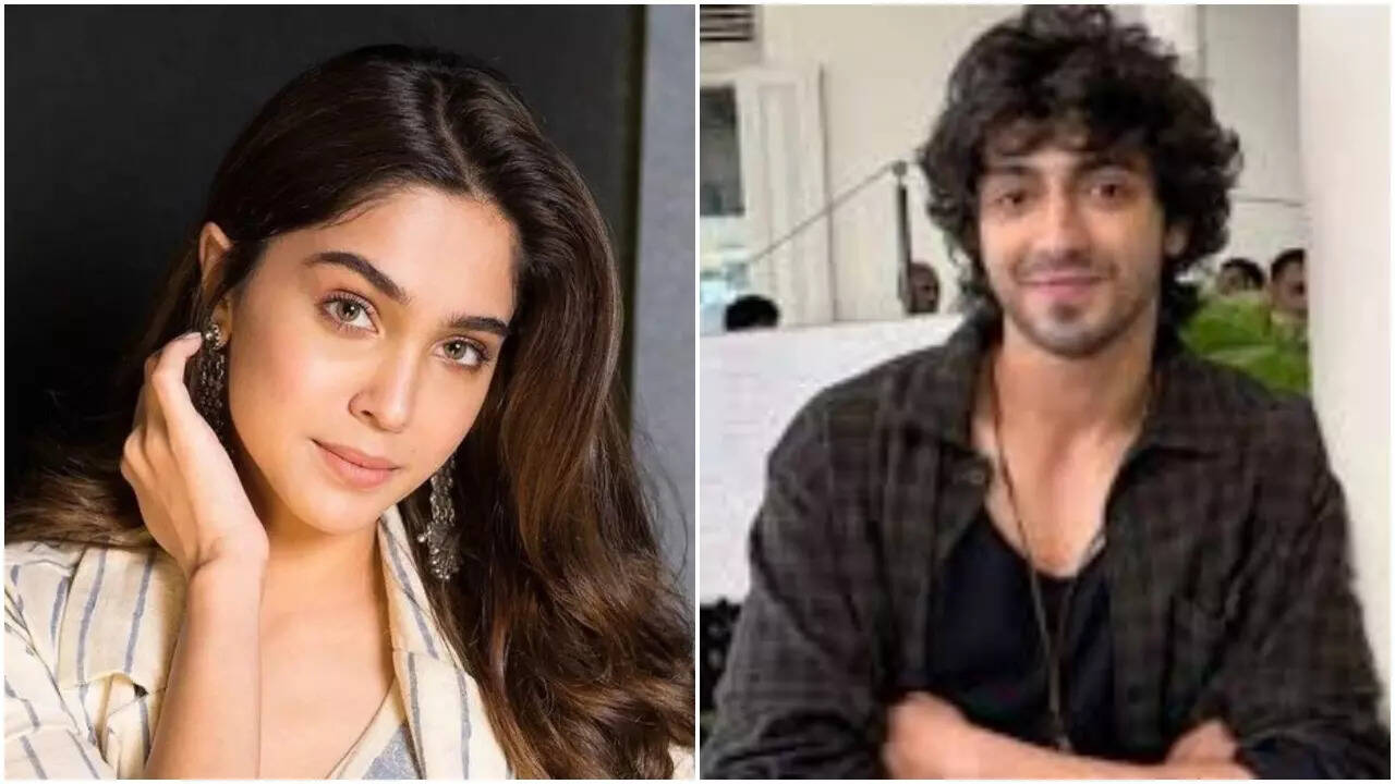 Ahaan Panday and Sharvari to team up?