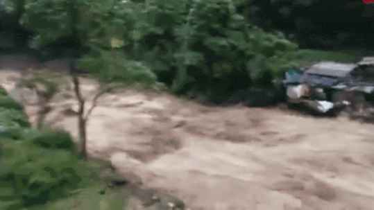 Darjeeling landslides: Homes, bridge, roads, tea gardens washed out &mdash; scary visuals emerge from Bengal