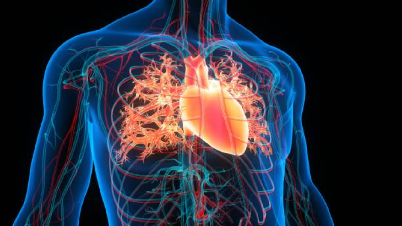 Why do heart attacks occur?