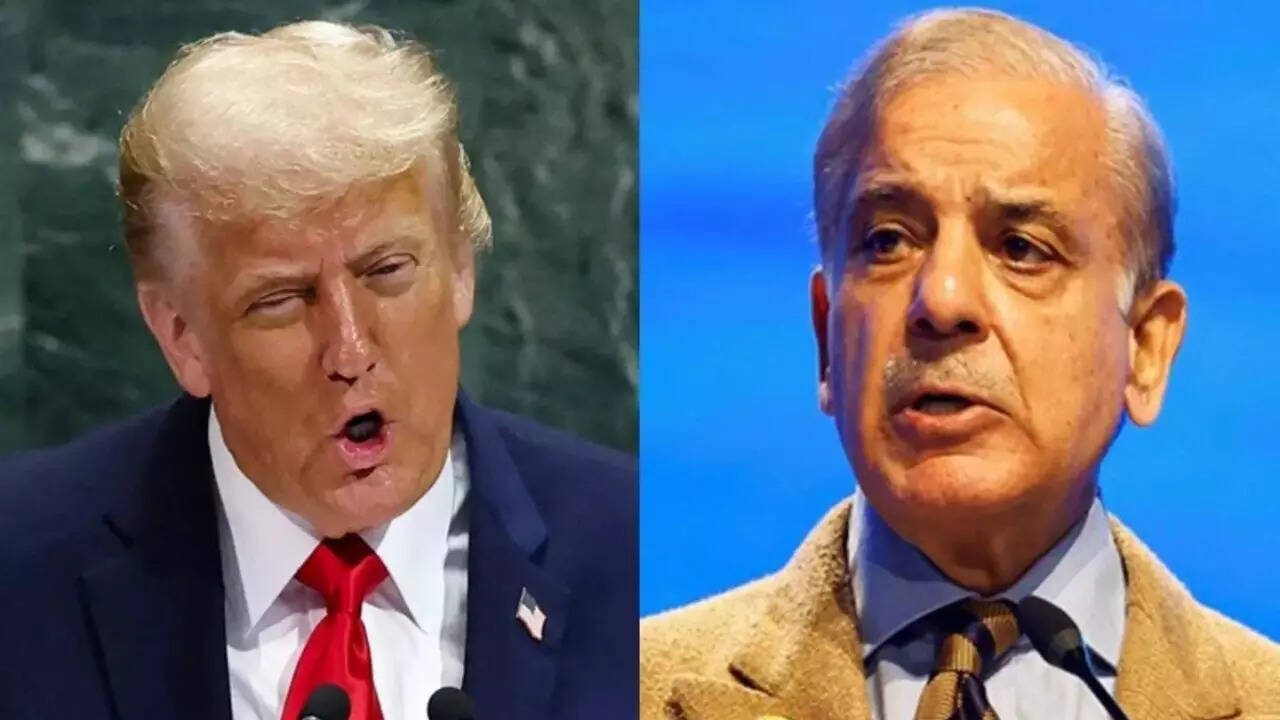 La Ore: Pakistan claims to have exported rare earth elements to US