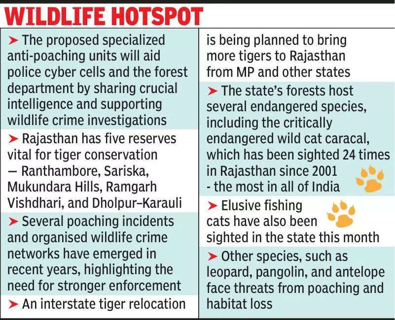 msid 124348102,imgsize 91364 https://jaipur.visitinrajasthan.com/wp-content/uploads/2023/10/cropped-cropped-R-2.png