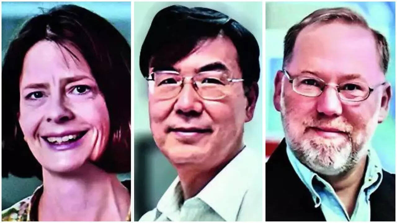 Trio gets Nobel Prize in Medicine for work on immune system