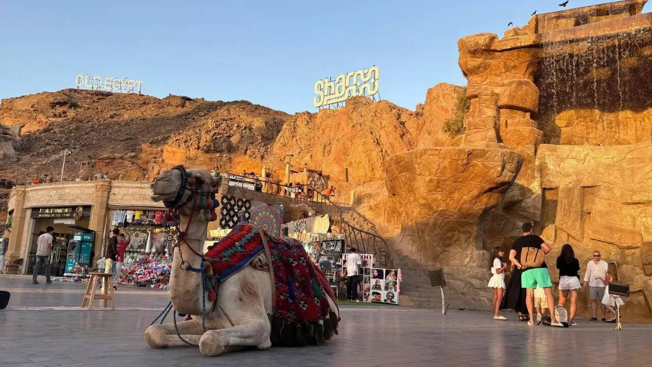 Talks begin in Egypt on US plan to end Gaza war